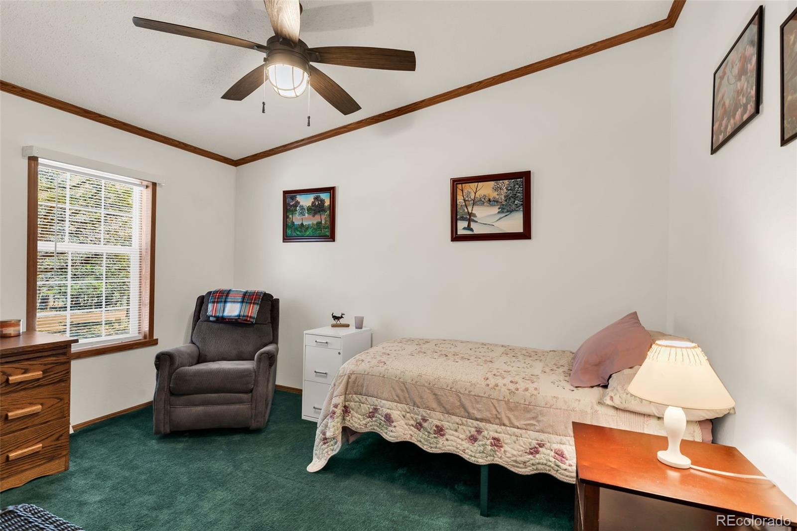 MLS Image #23 for 1576  i path,cotopaxi, Colorado