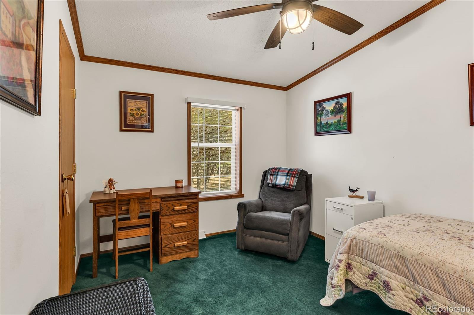 MLS Image #24 for 1576  i path,cotopaxi, Colorado