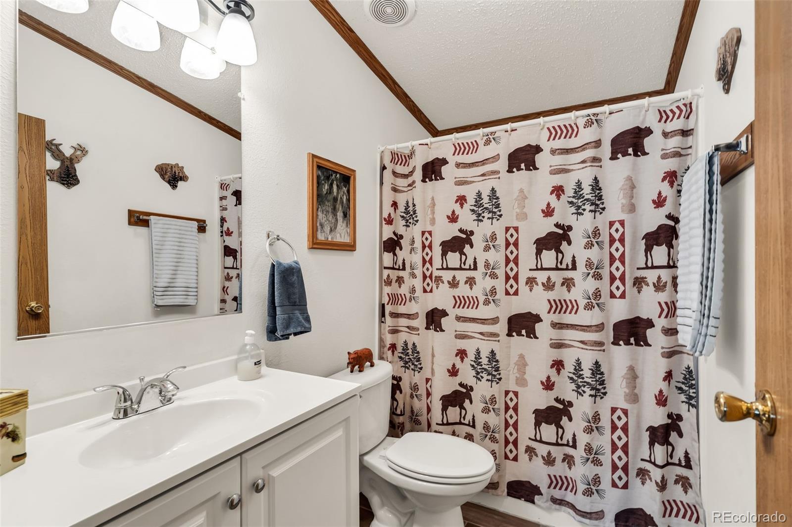 MLS Image #25 for 1576  i path,cotopaxi, Colorado