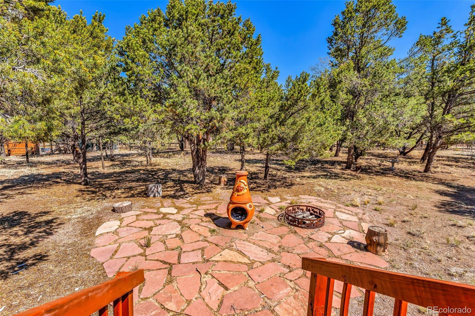 MLS Image #29 for 1576  i path,cotopaxi, Colorado