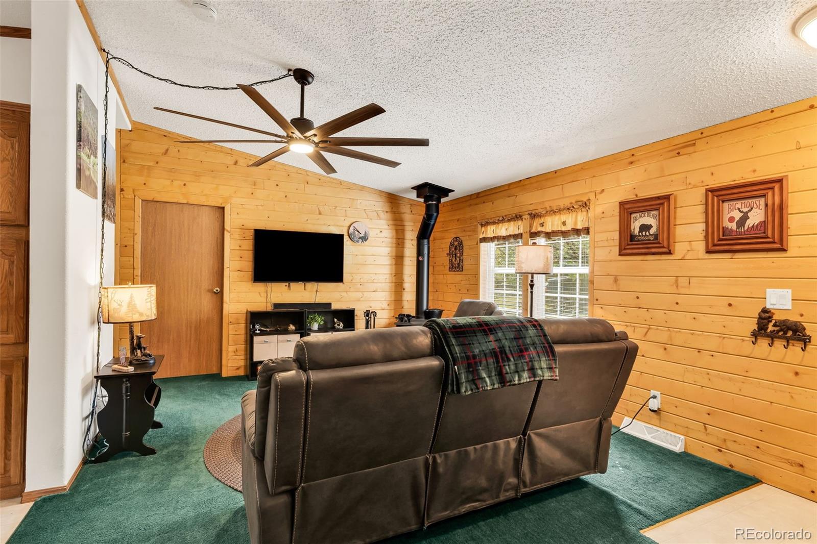 MLS Image #8 for 1576  i path,cotopaxi, Colorado