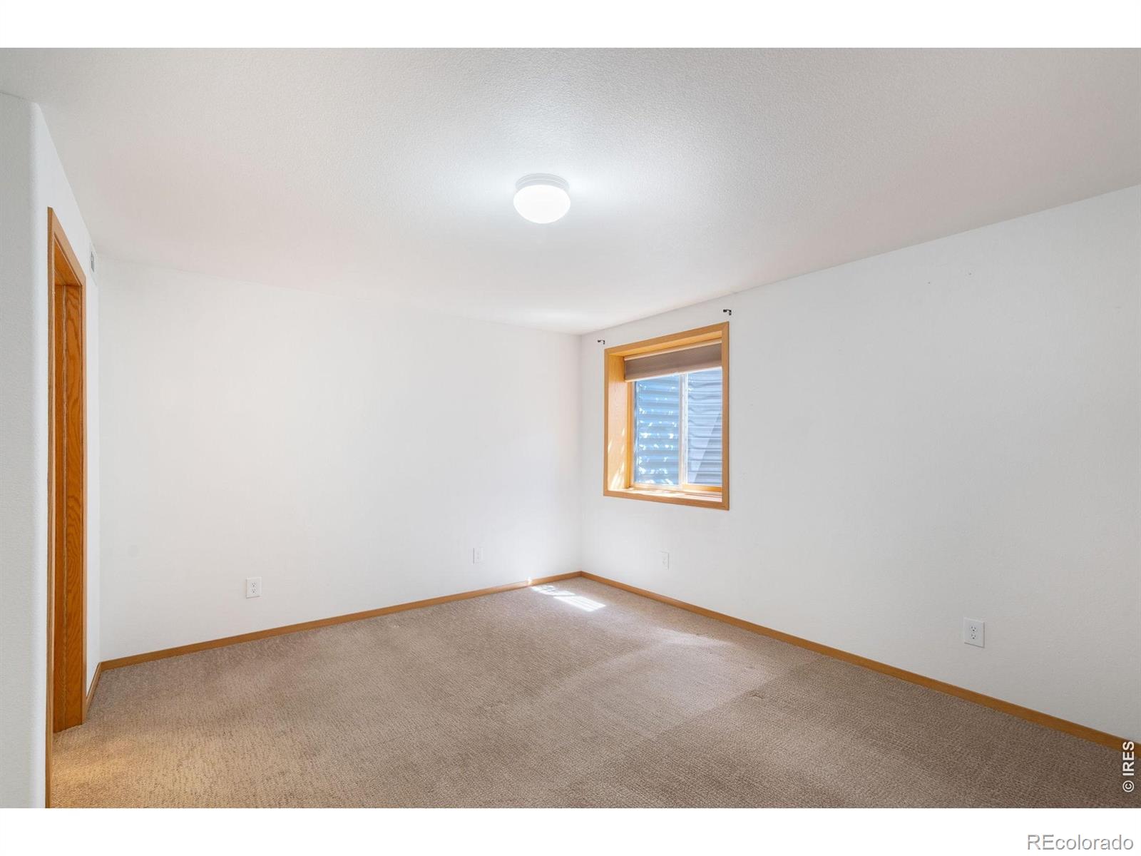 MLS Image #30 for 408  strasburg drive,fort collins, Colorado