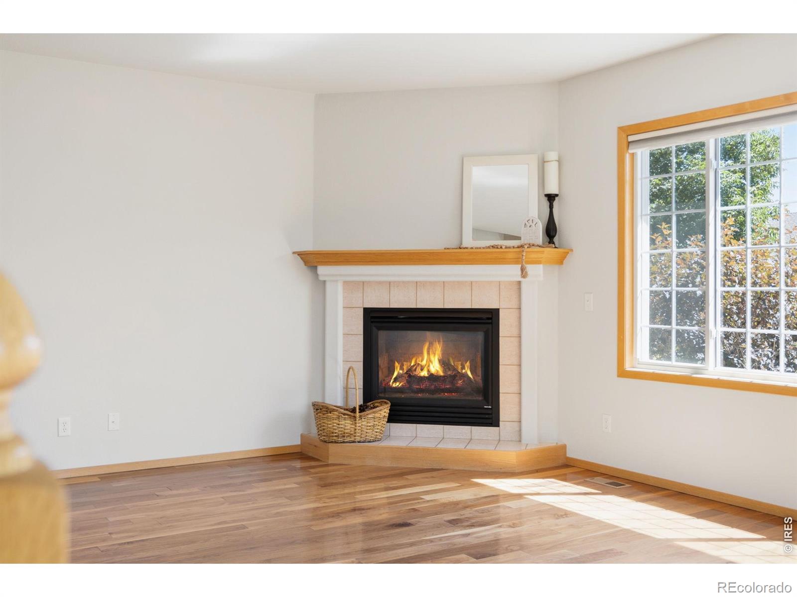MLS Image #7 for 408  strasburg drive,fort collins, Colorado