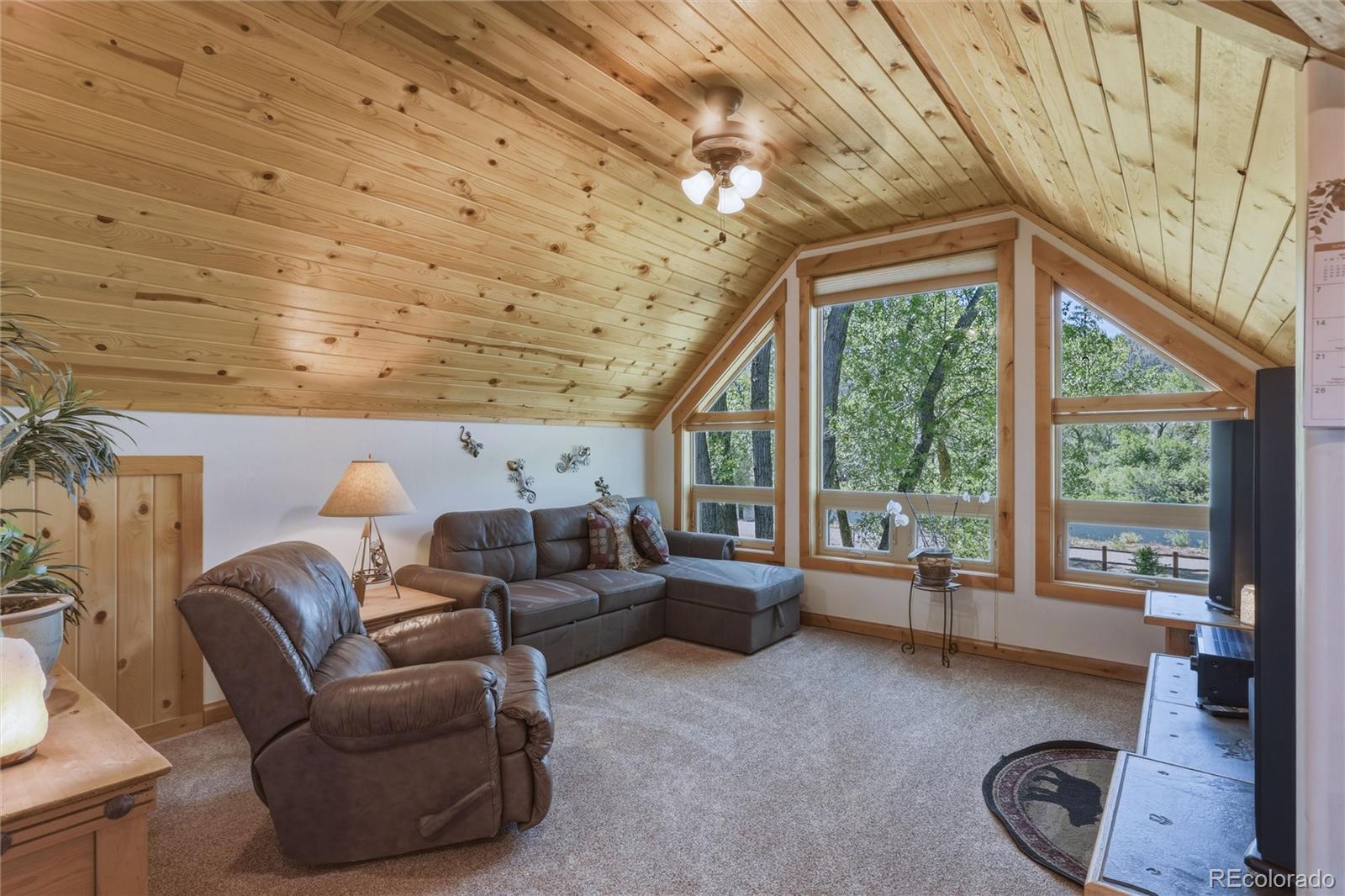 MLS Image #28 for 237  rio grande drive,south fork, Colorado