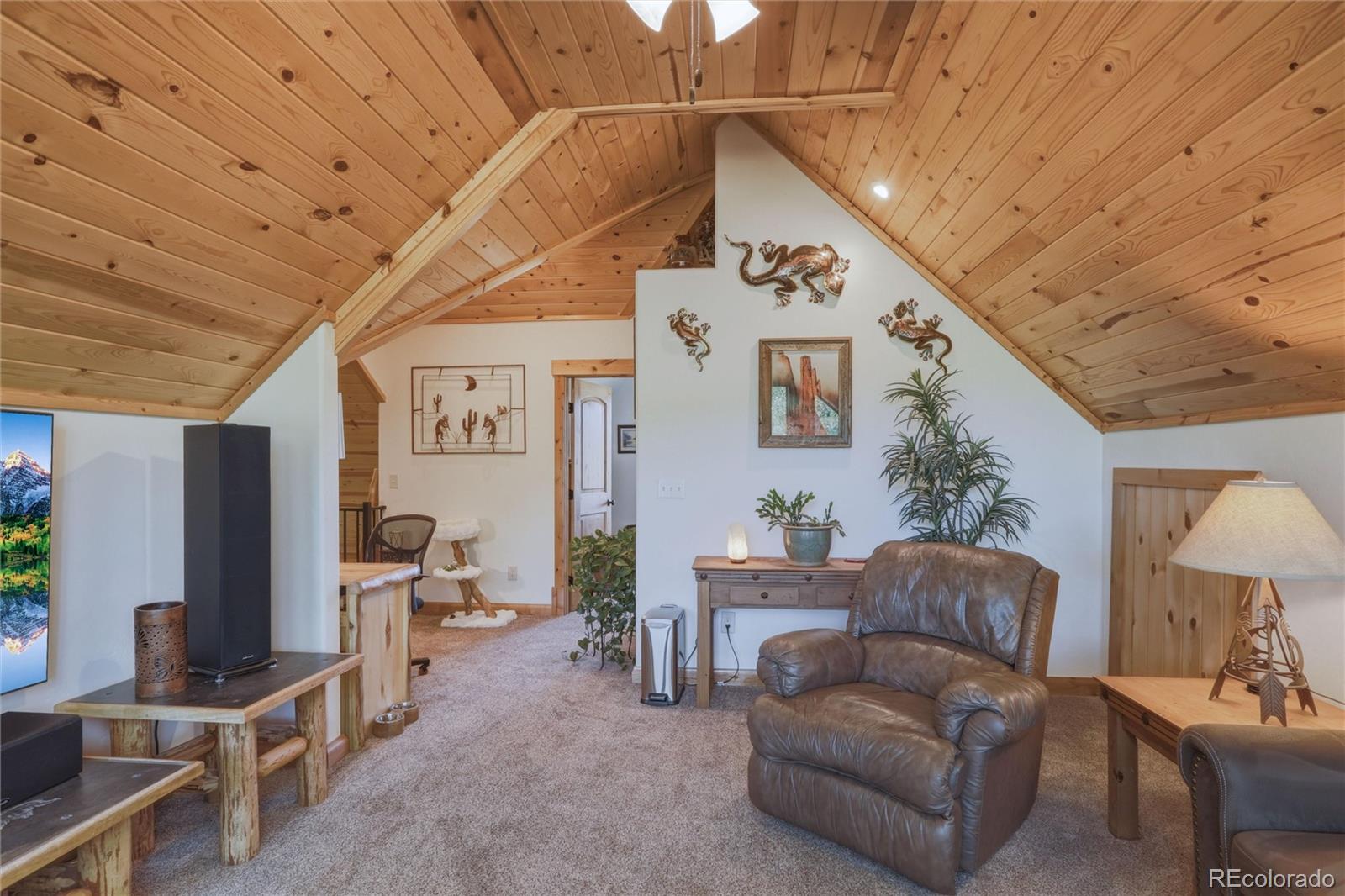 MLS Image #30 for 237  rio grande drive,south fork, Colorado