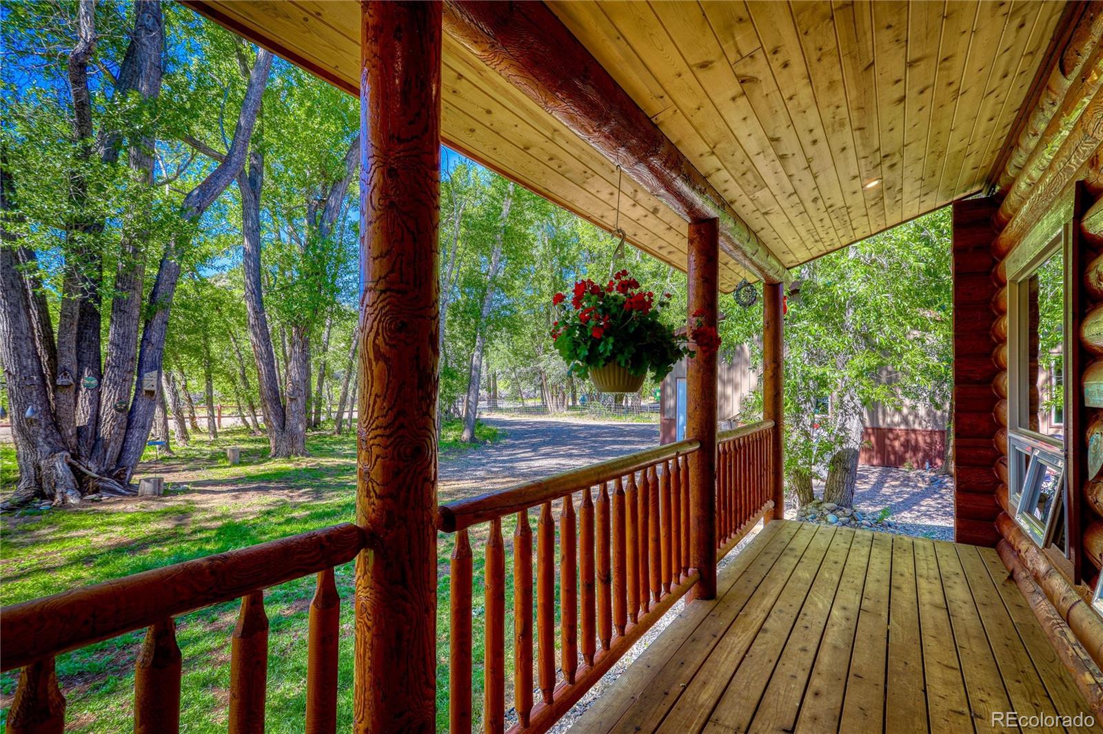 MLS Image #4 for 237  rio grande drive,south fork, Colorado