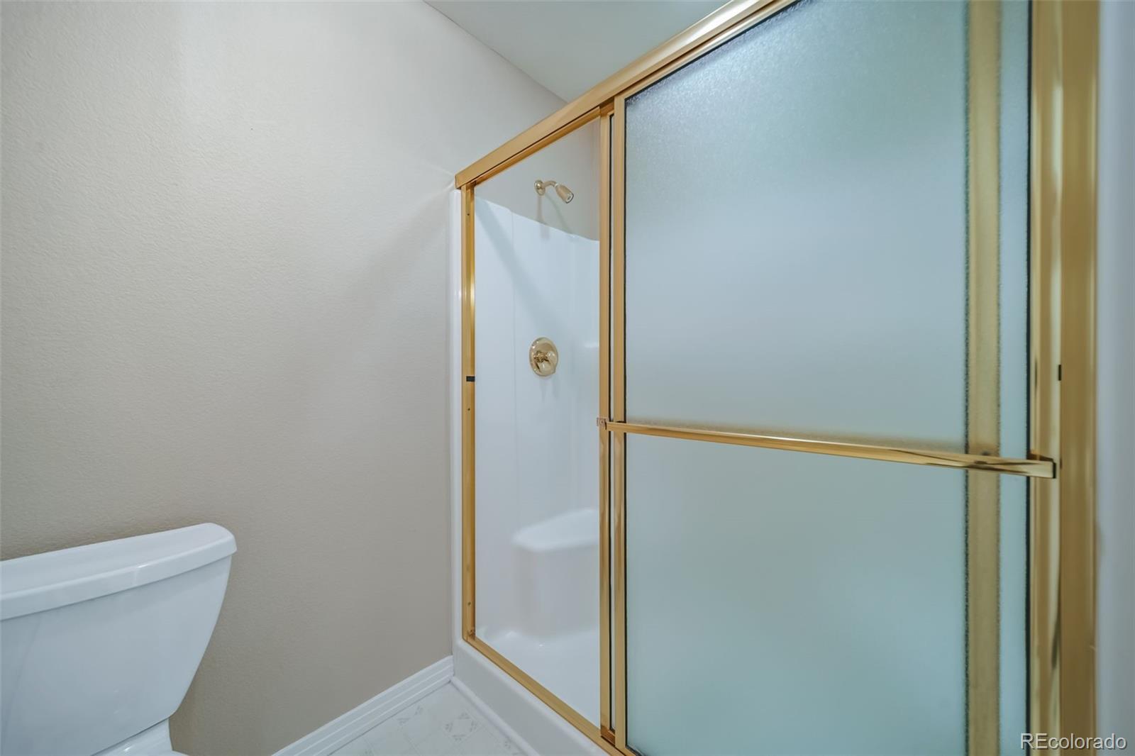 MLS Image #20 for 4384  las lunas court,castle rock, Colorado