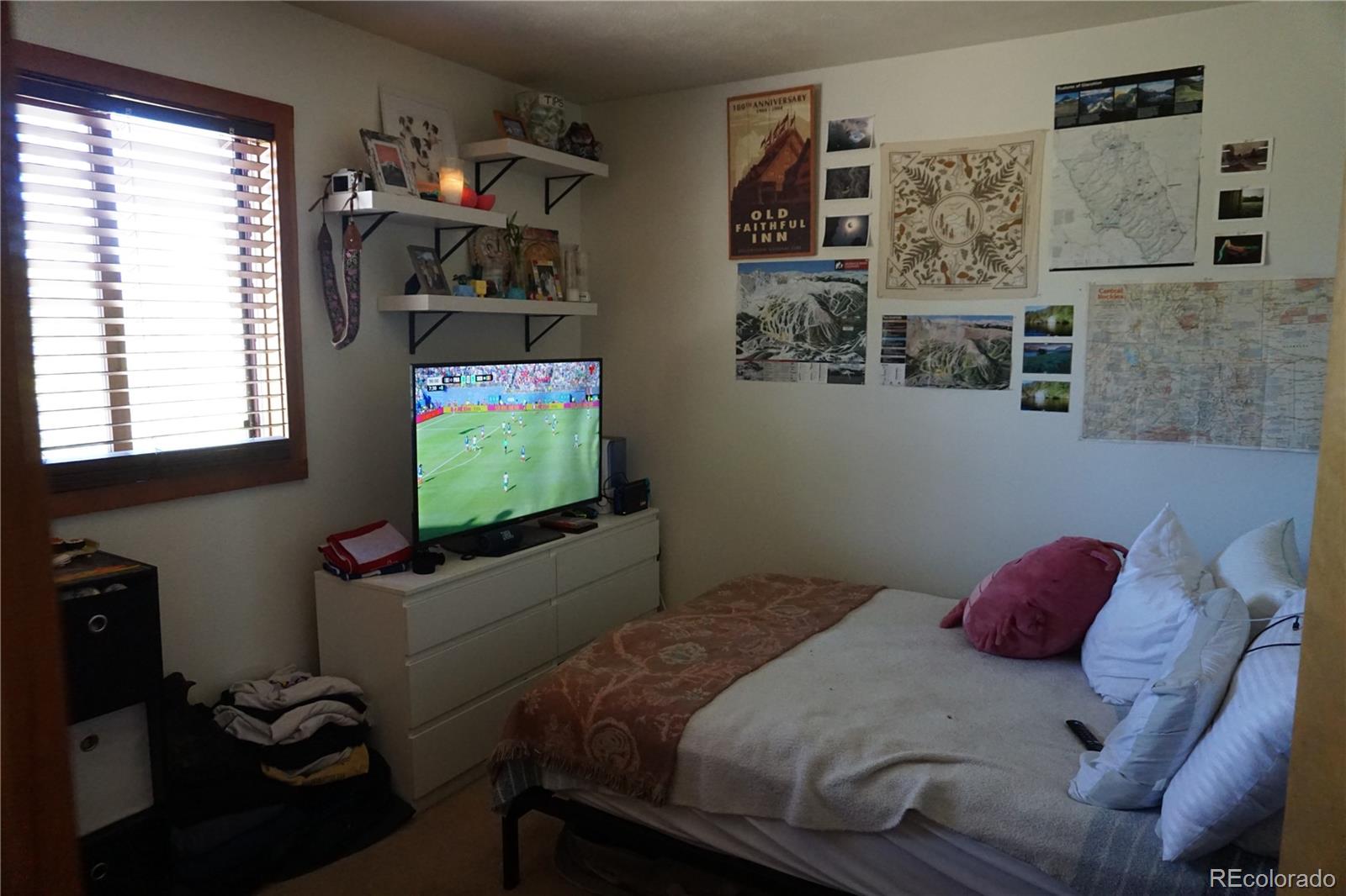 MLS Image #10 for 91300  ryan gulch road,silverthorne, Colorado