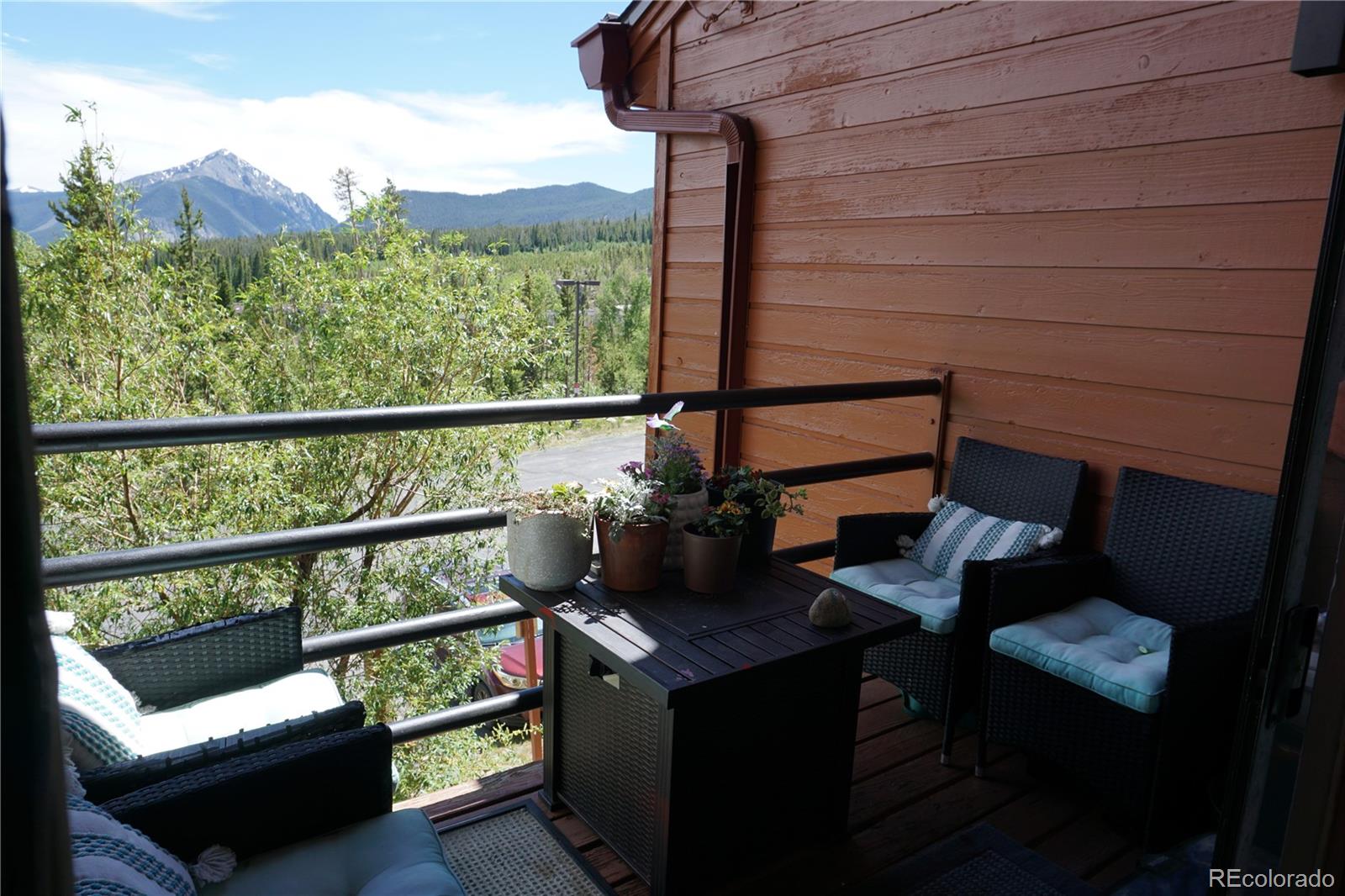 MLS Image #2 for 91300  ryan gulch road,silverthorne, Colorado