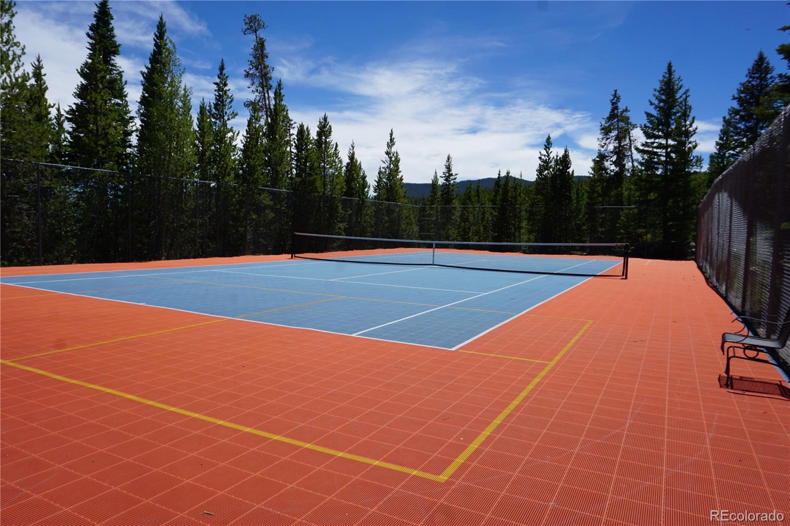 MLS Image #3 for 91300  ryan gulch road,silverthorne, Colorado