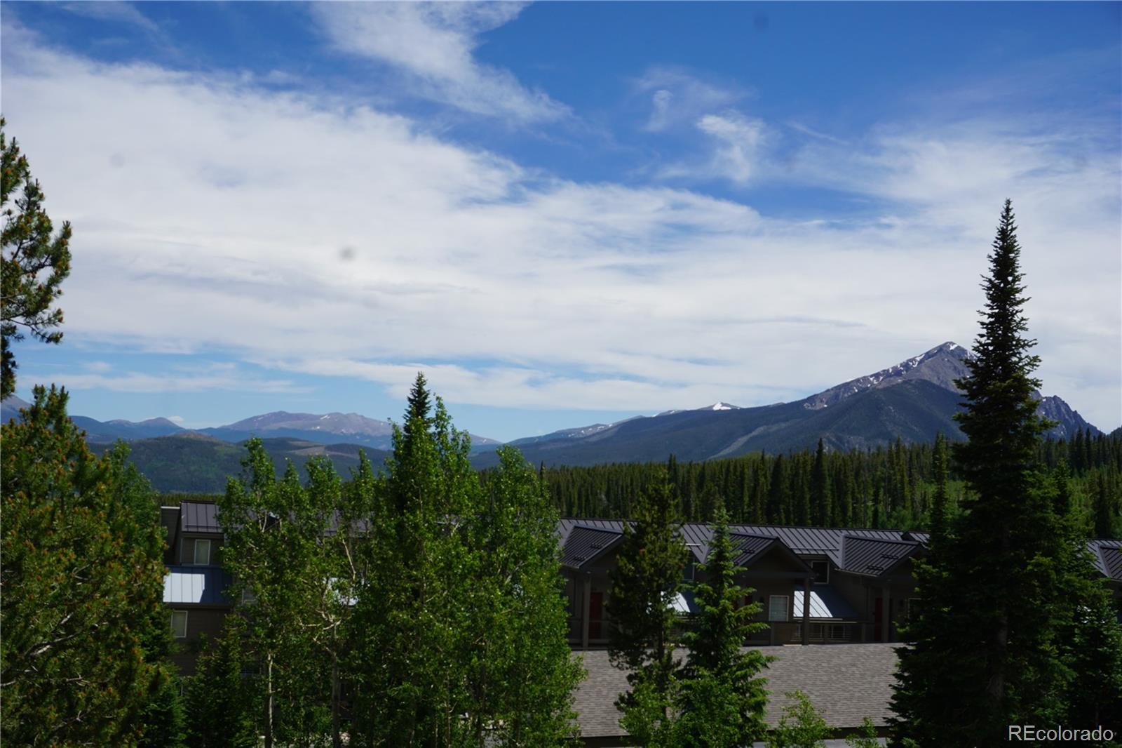 MLS Image #5 for 91300  ryan gulch road,silverthorne, Colorado