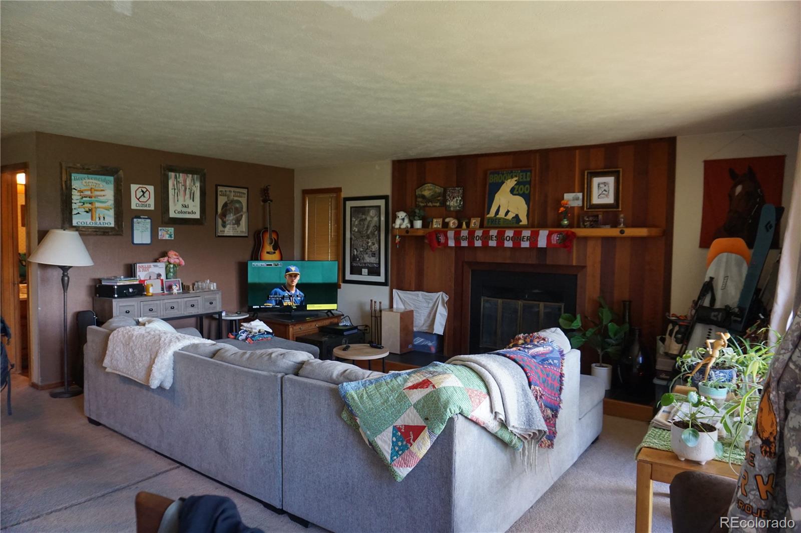 MLS Image #7 for 91300  ryan gulch road,silverthorne, Colorado
