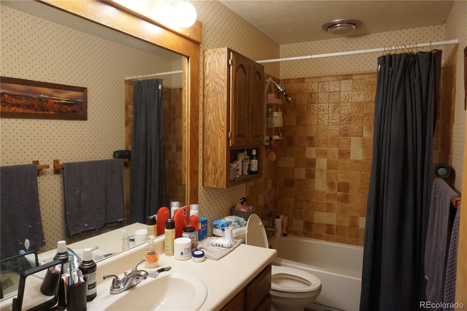MLS Image #8 for 91300  ryan gulch road,silverthorne, Colorado