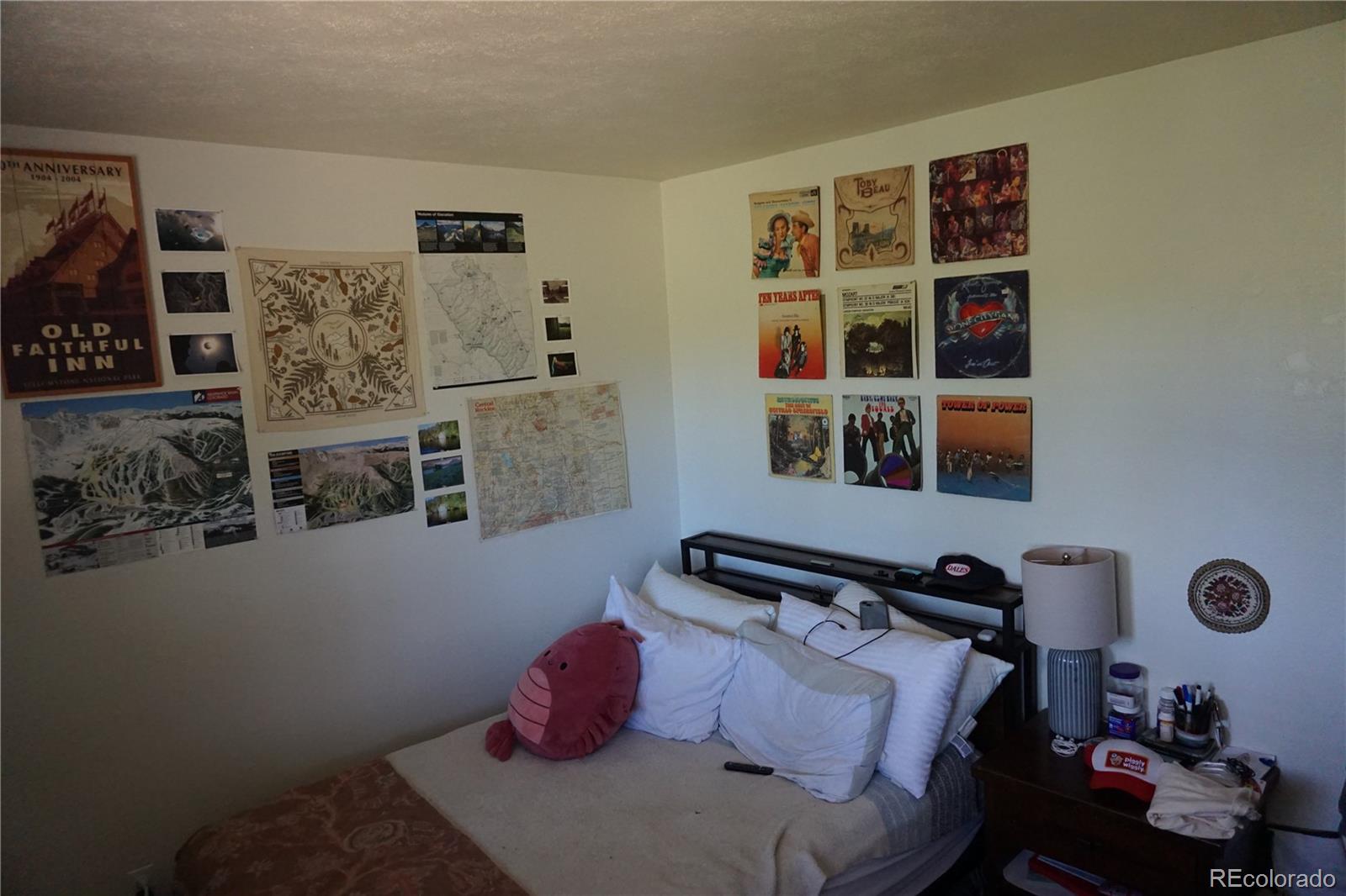 MLS Image #9 for 91300  ryan gulch road,silverthorne, Colorado