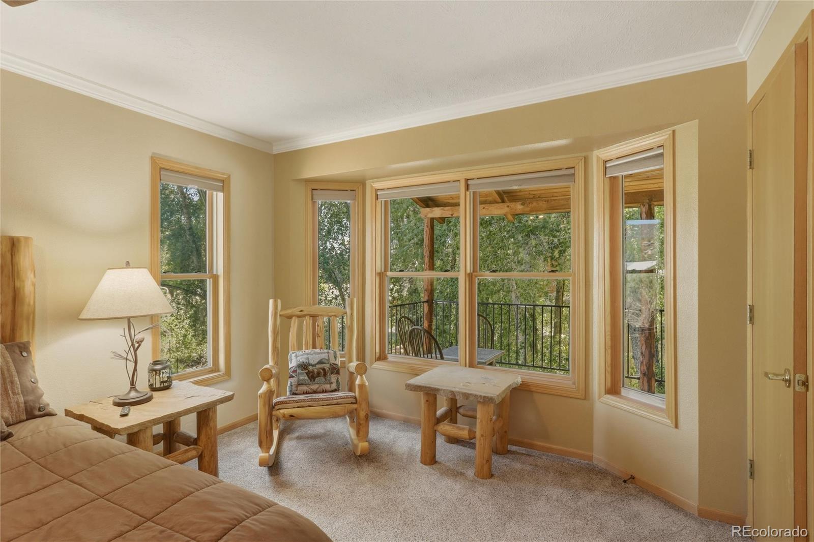 MLS Image #23 for 199  rio grande drive,south fork, Colorado