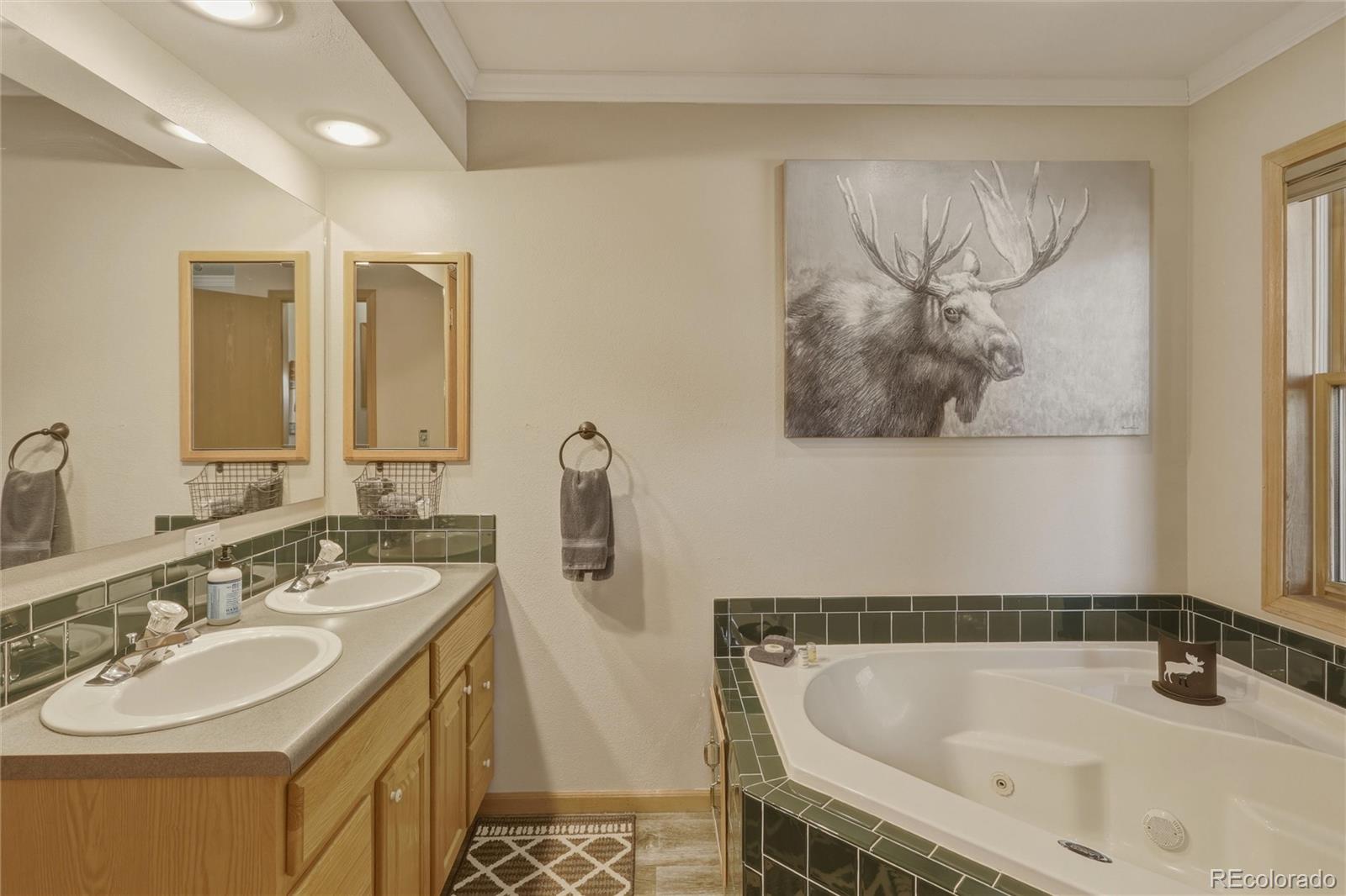 MLS Image #25 for 199  rio grande drive,south fork, Colorado