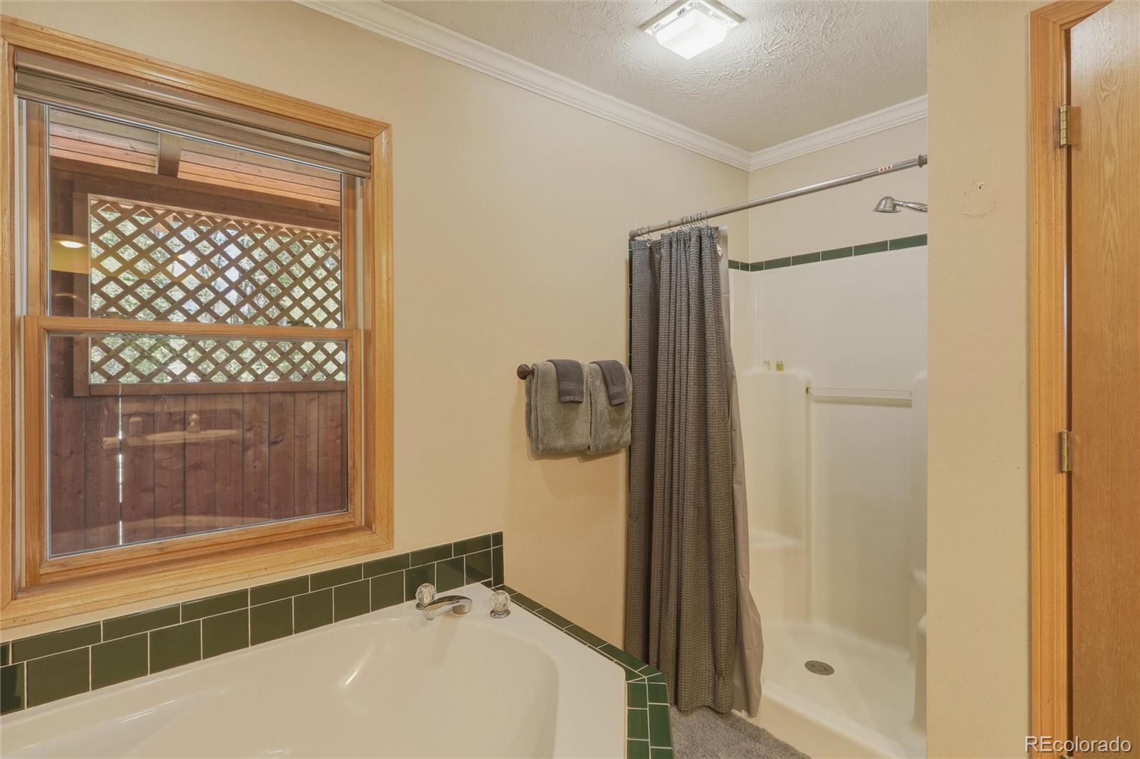 MLS Image #26 for 199  rio grande drive,south fork, Colorado
