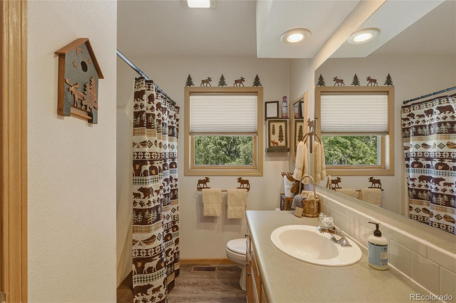 MLS Image #32 for 199  rio grande drive,south fork, Colorado
