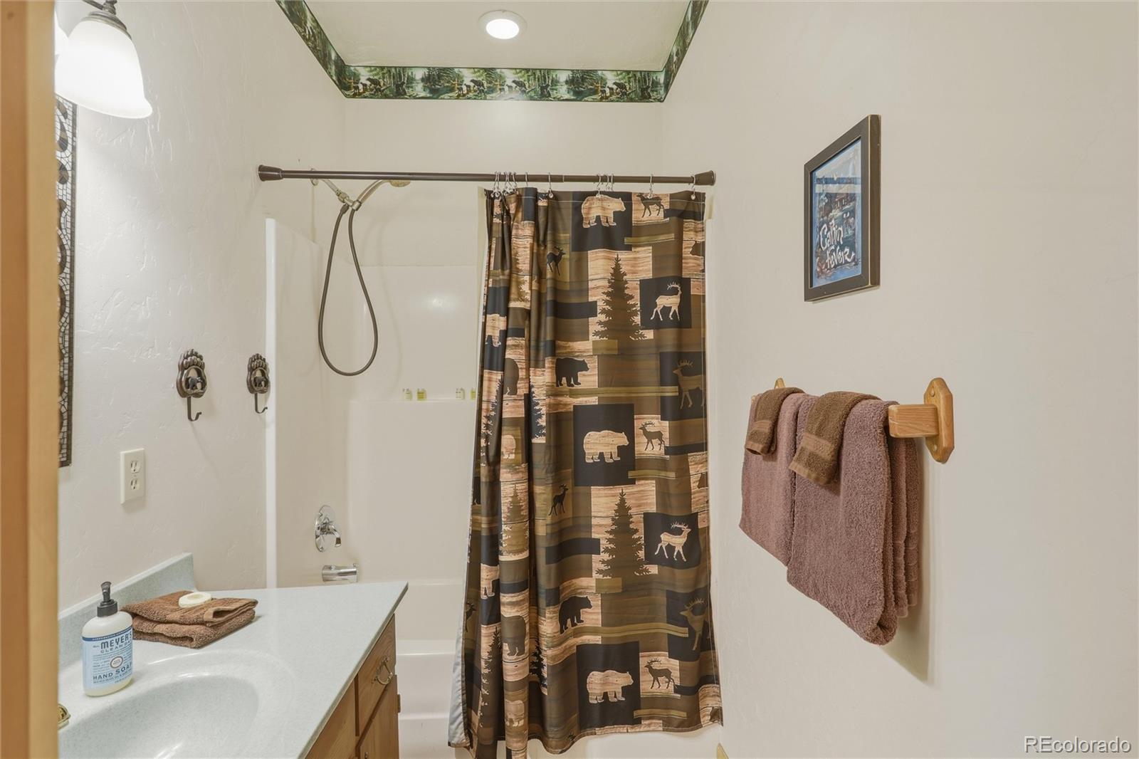 MLS Image #47 for 199  rio grande drive,south fork, Colorado