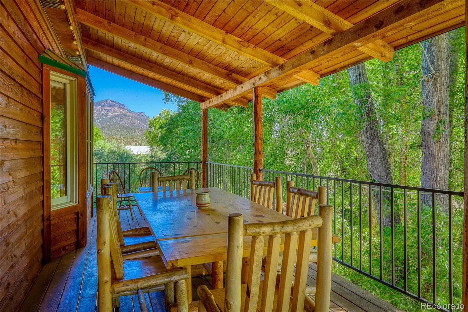 MLS Image #5 for 199  rio grande drive,south fork, Colorado