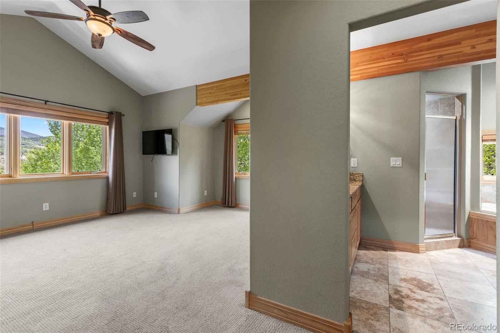 MLS Image #15 for 1837  stellar drive,silverthorne, Colorado