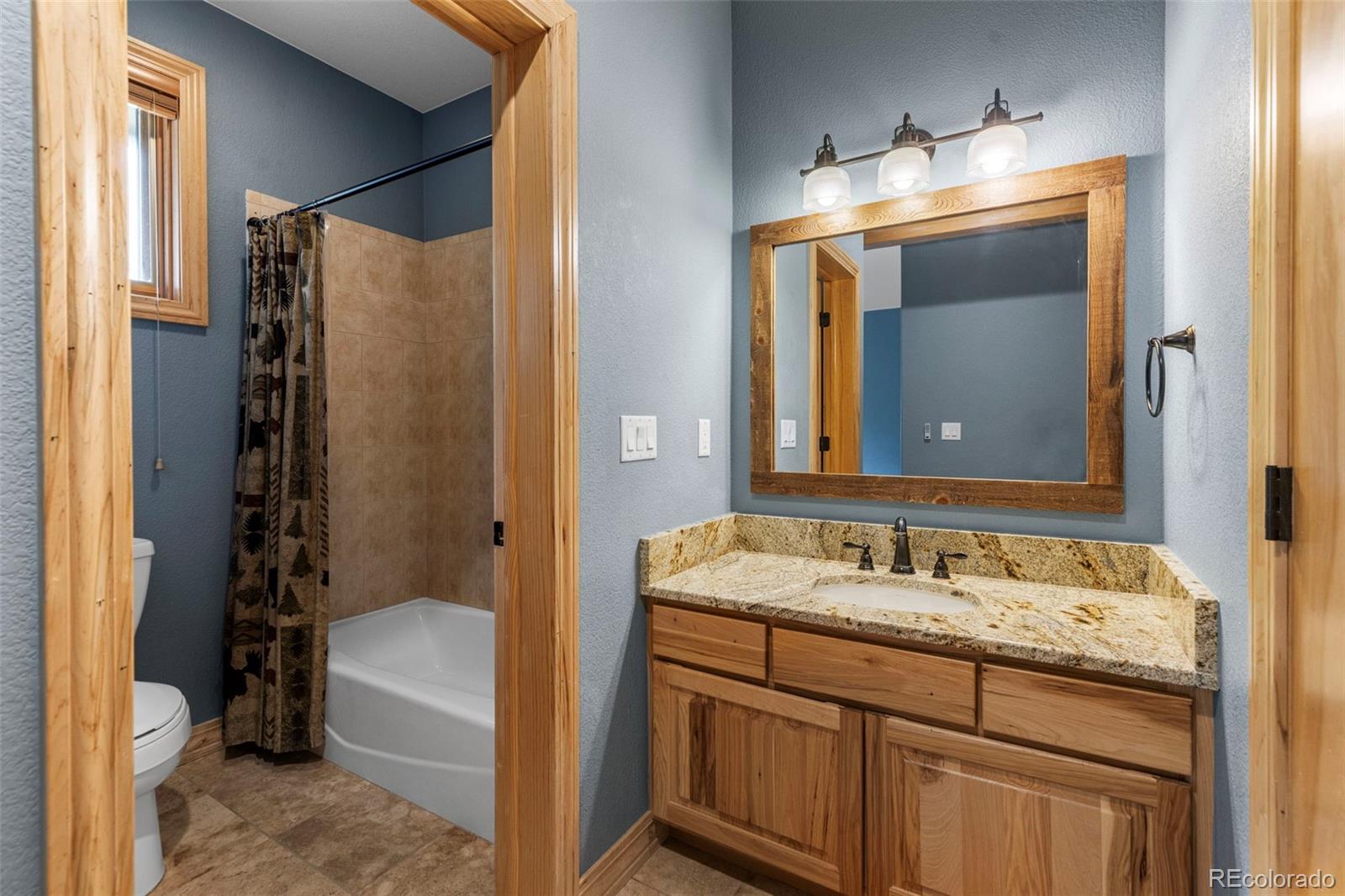 MLS Image #19 for 1837  stellar drive,silverthorne, Colorado