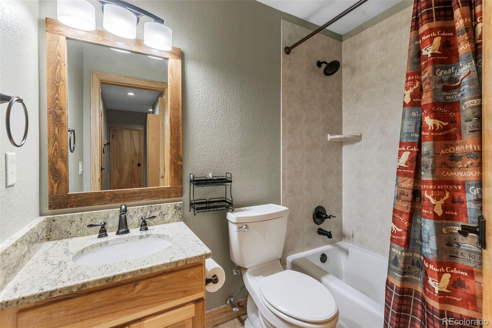 MLS Image #21 for 1837  stellar drive,silverthorne, Colorado