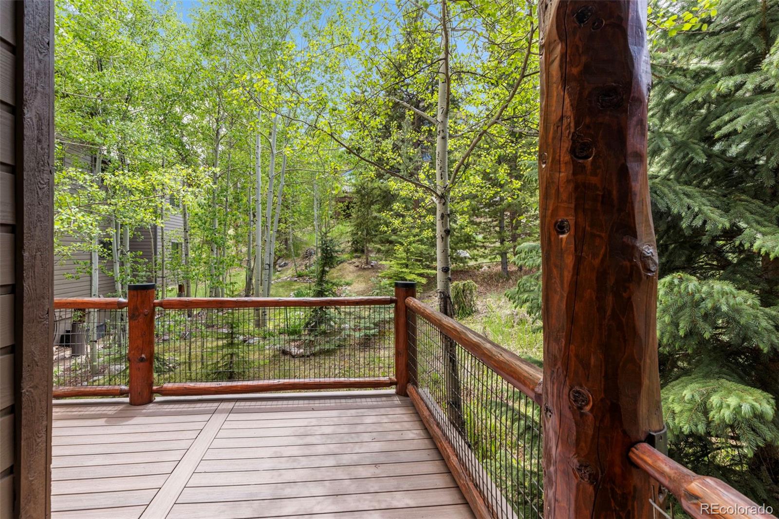 MLS Image #24 for 1837  stellar drive,silverthorne, Colorado
