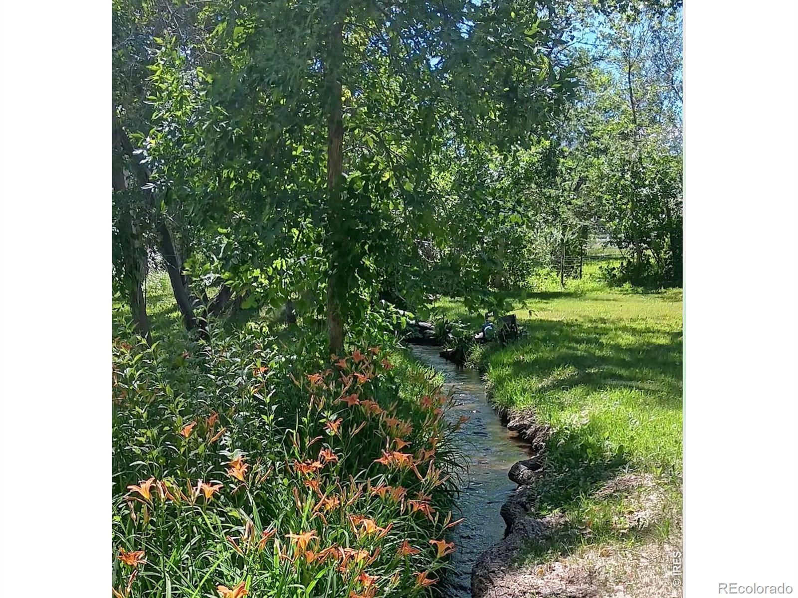 MLS Image #12 for 3990  pleasant ridge road,boulder, Colorado