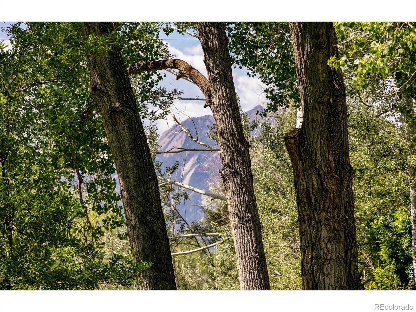 MLS Image #13 for 3990  pleasant ridge road,boulder, Colorado