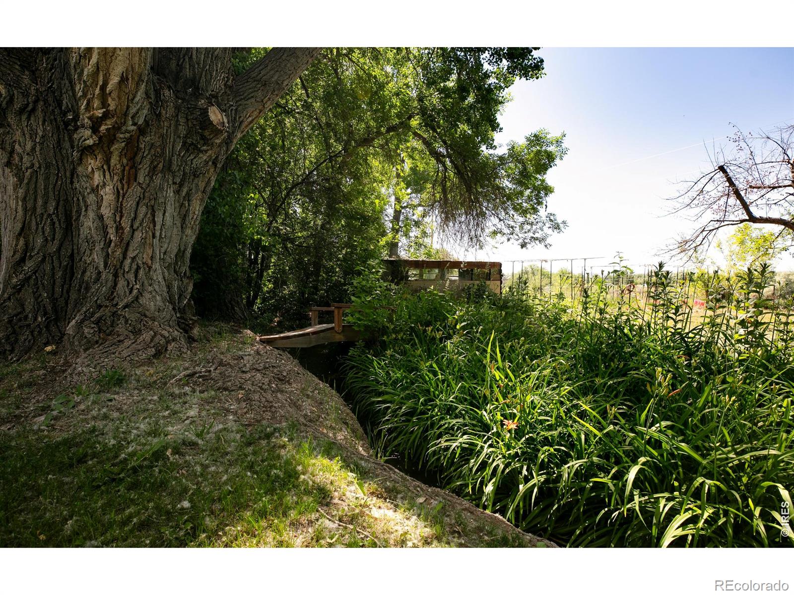 MLS Image #18 for 3990  pleasant ridge road,boulder, Colorado