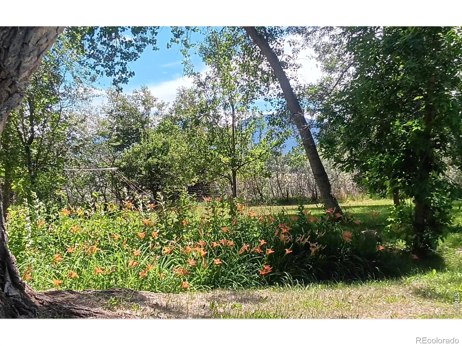 MLS Image #21 for 3990  pleasant ridge road,boulder, Colorado