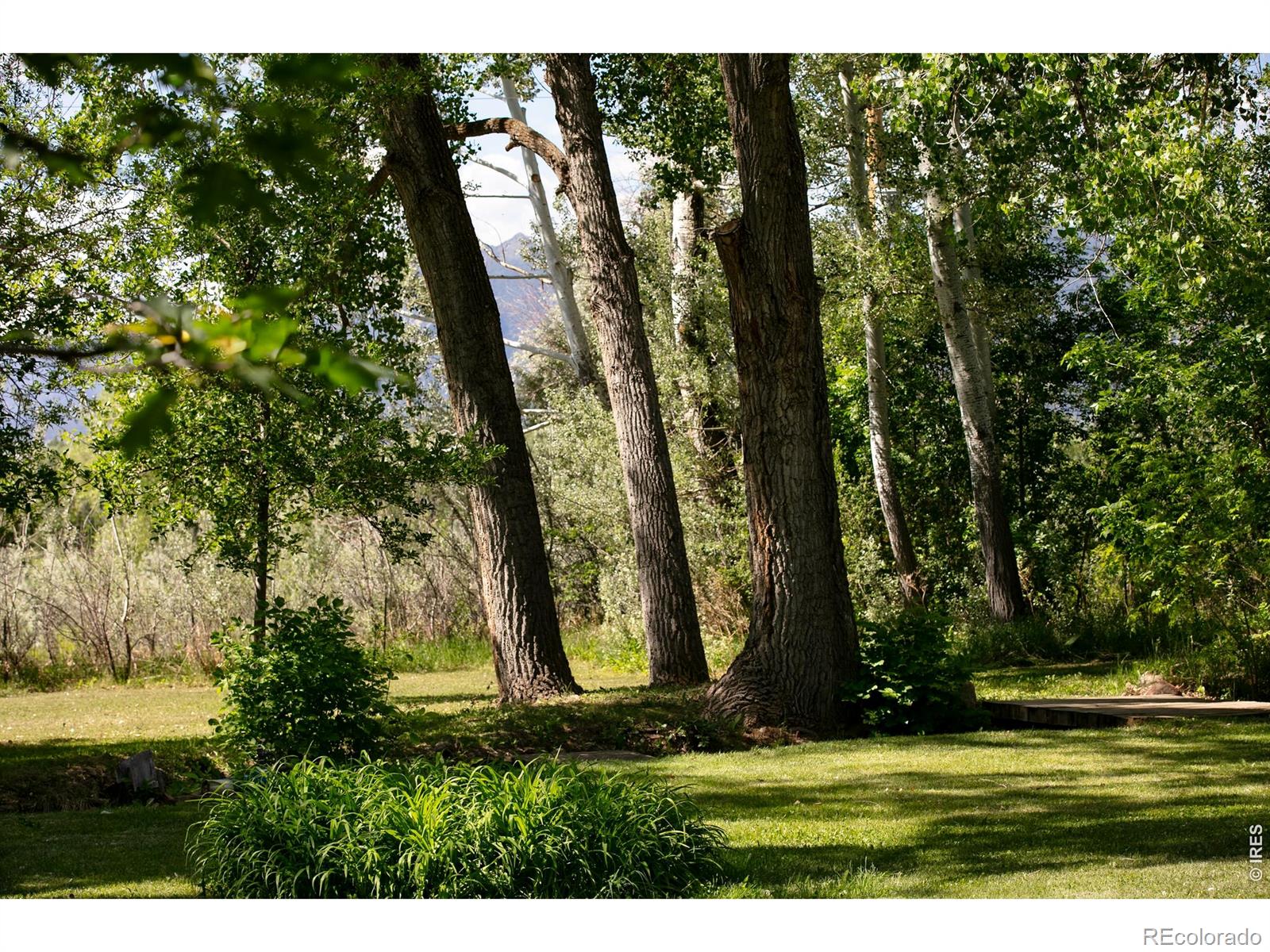 MLS Image #3 for 3990  pleasant ridge road,boulder, Colorado