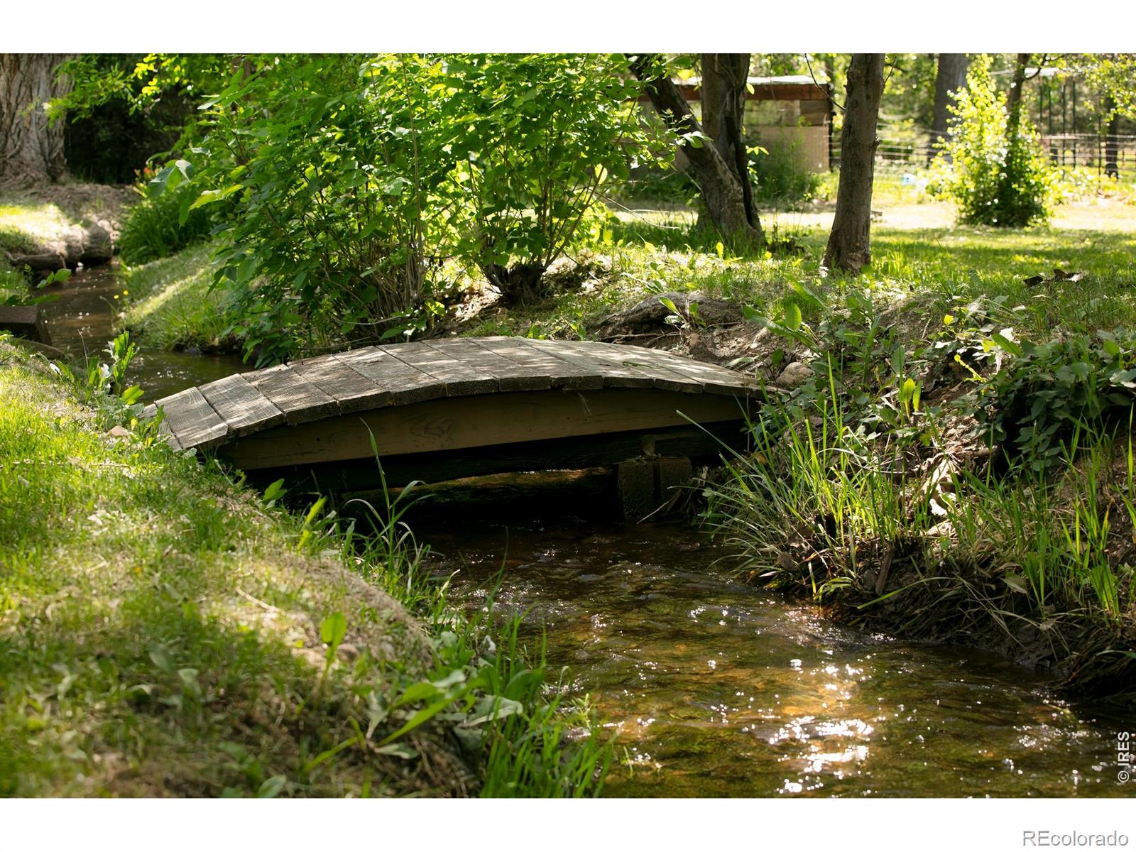 MLS Image #6 for 3990  pleasant ridge road,boulder, Colorado