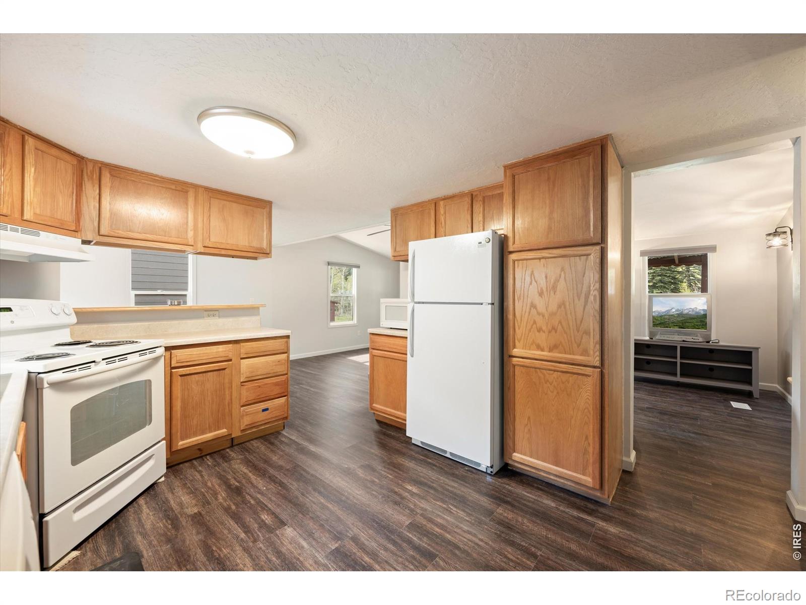 MLS Image #13 for 50  meadow lane,bellvue, Colorado