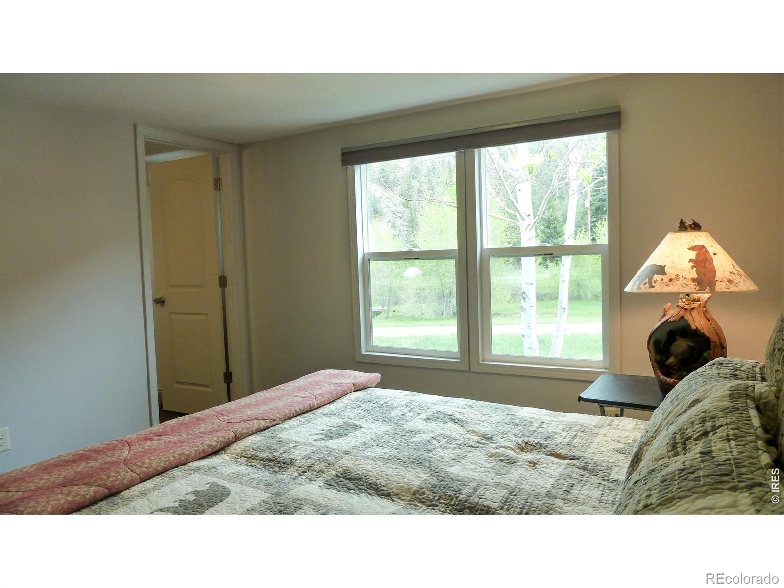 MLS Image #22 for 50  meadow lane,bellvue, Colorado