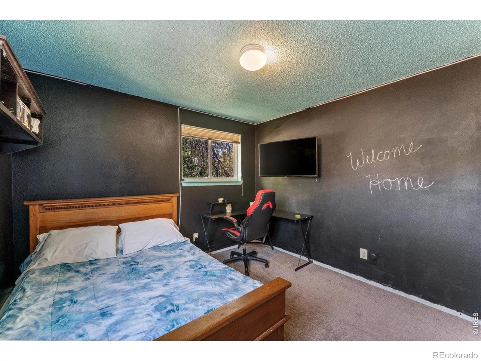 MLS Image #13 for 2305  jewel street,longmont, Colorado