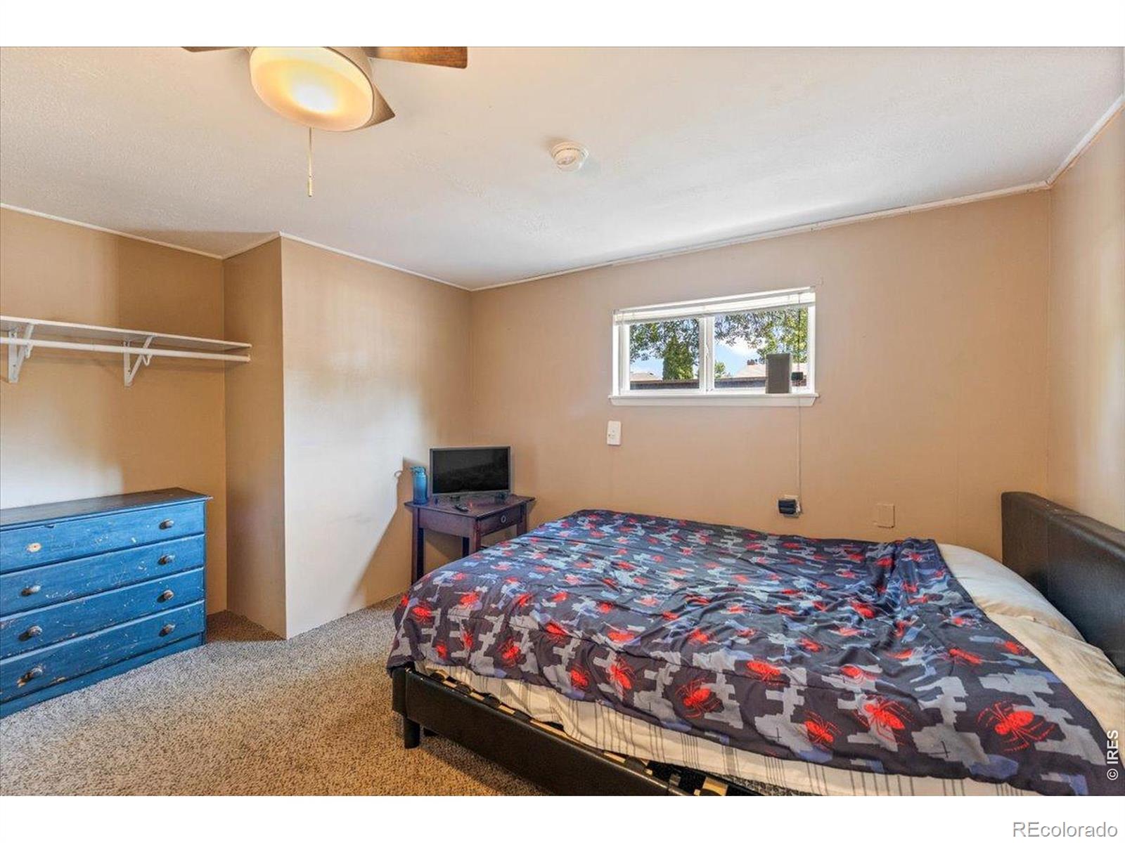MLS Image #14 for 2305  jewel street,longmont, Colorado