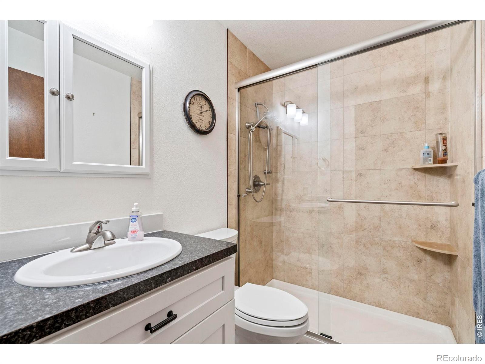 MLS Image #19 for 300  ranch acres drive,loveland, Colorado