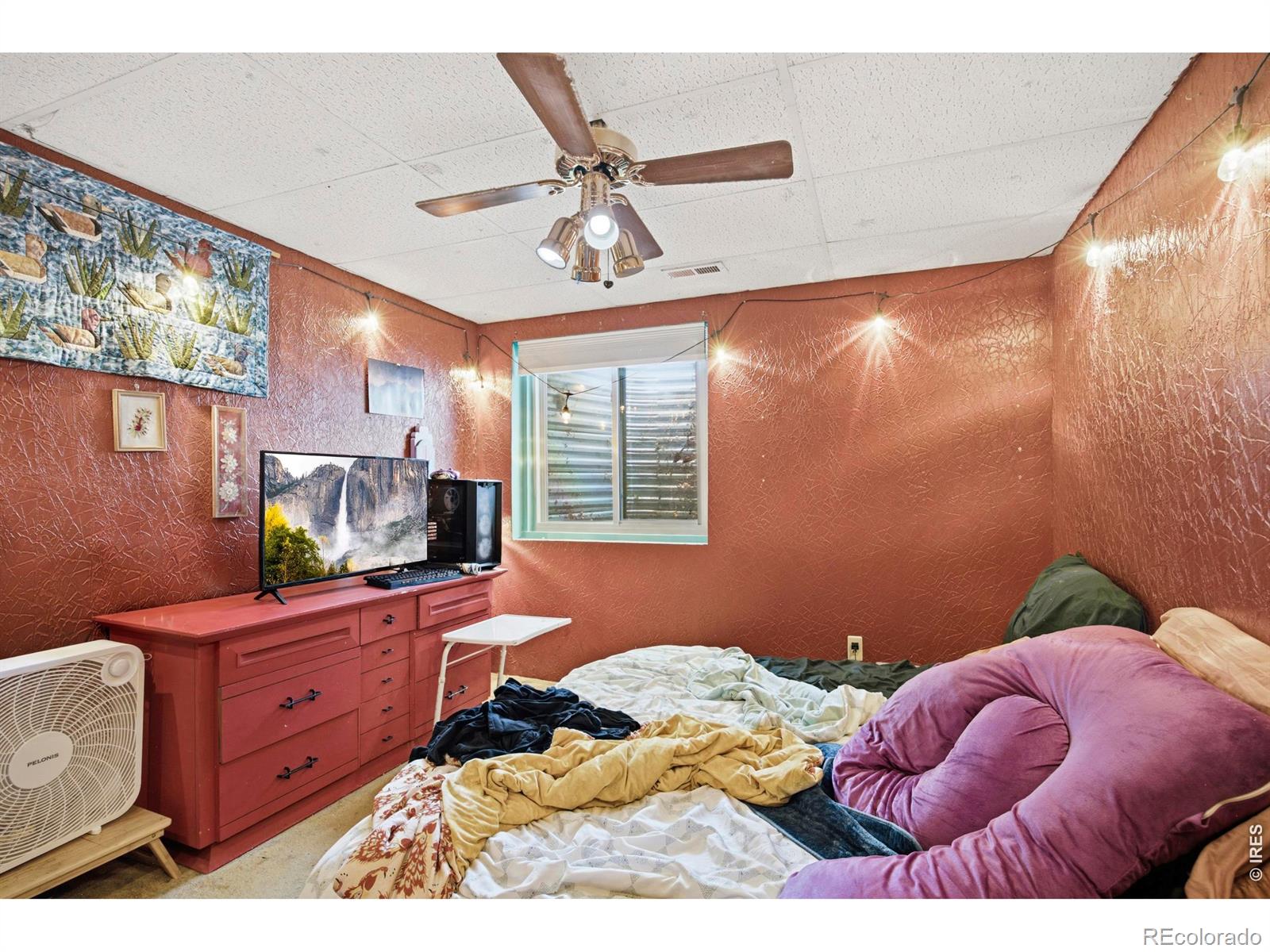 MLS Image #33 for 1807  enfield street,fort collins, Colorado