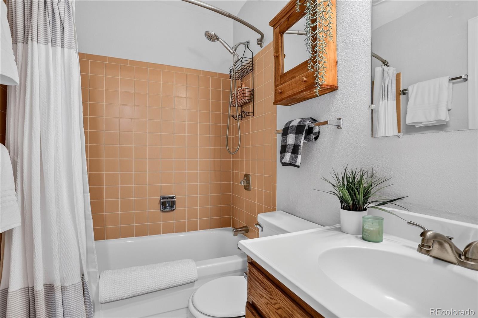 MLS Image #15 for 570  bills ranch road,frisco, Colorado