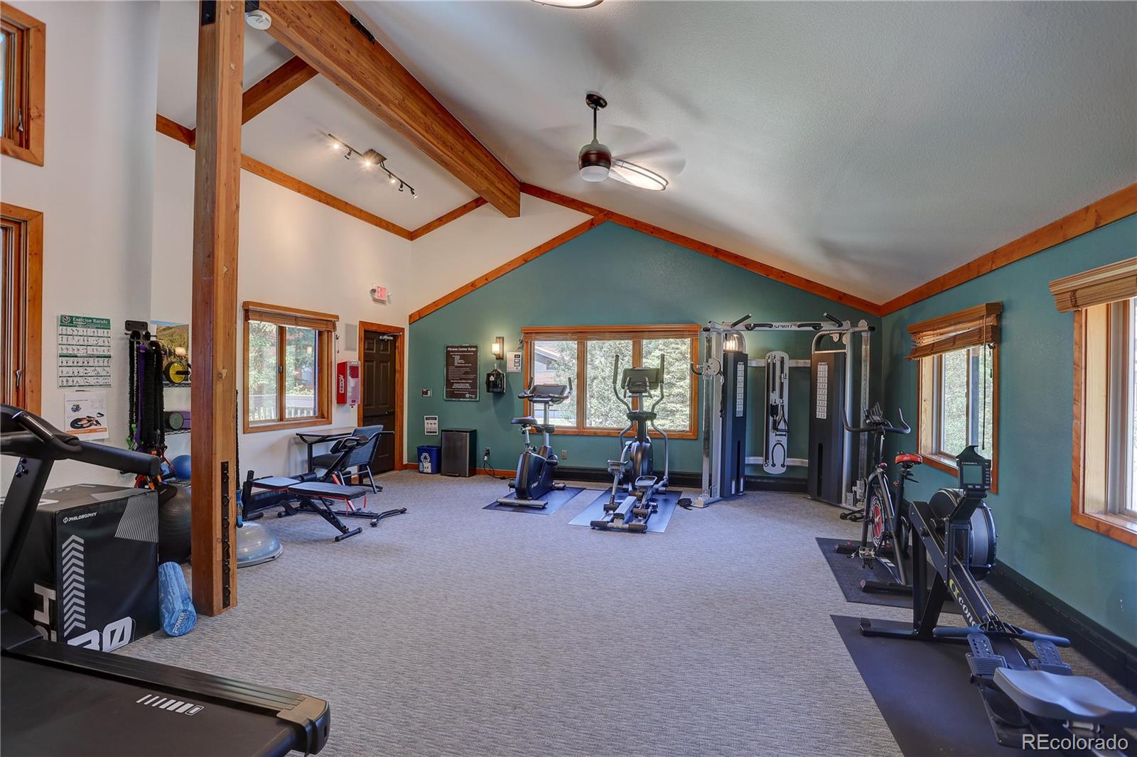 MLS Image #26 for 570  bills ranch road,frisco, Colorado