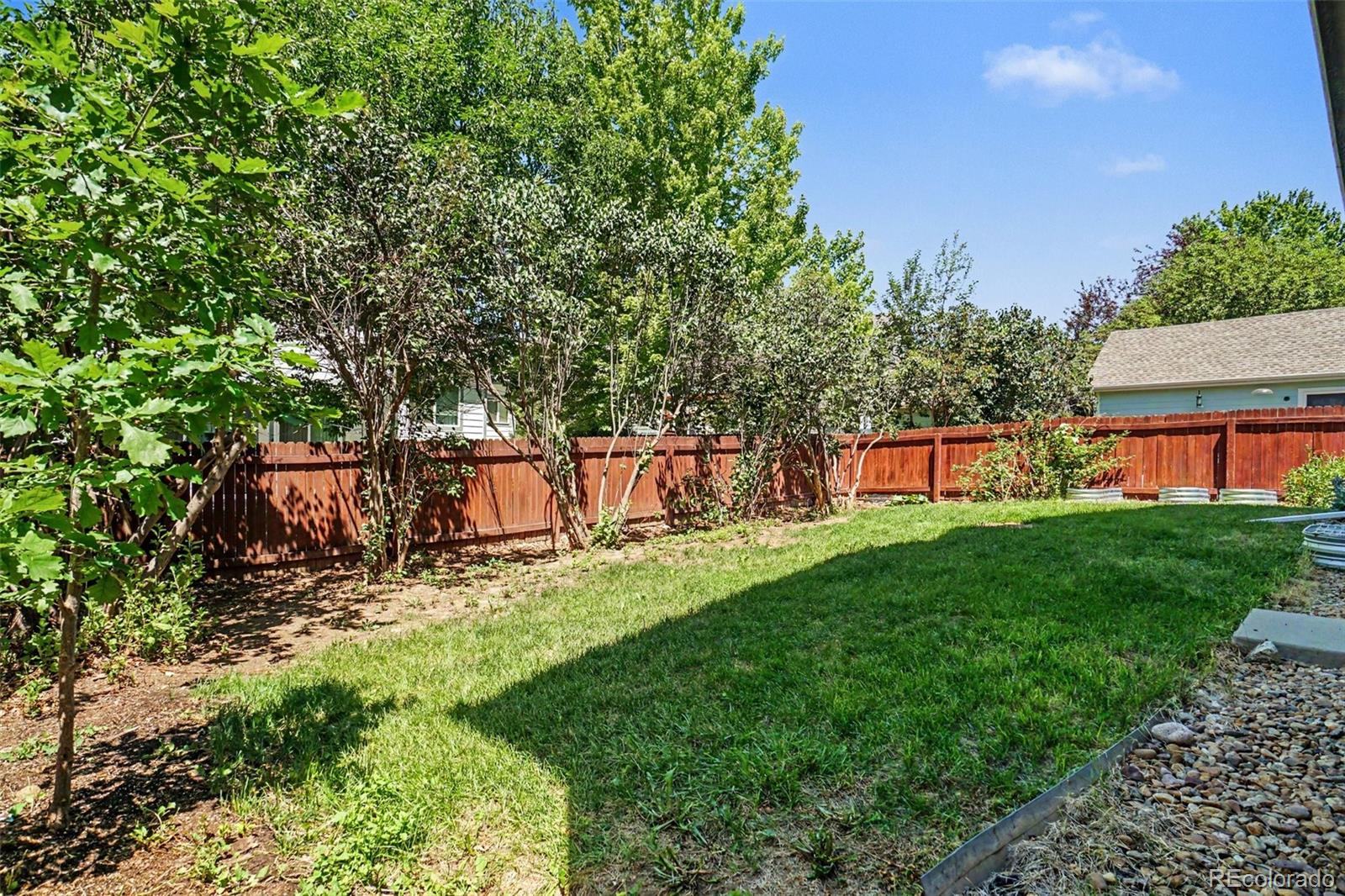 MLS Image #29 for 305  maggie street,longmont, Colorado
