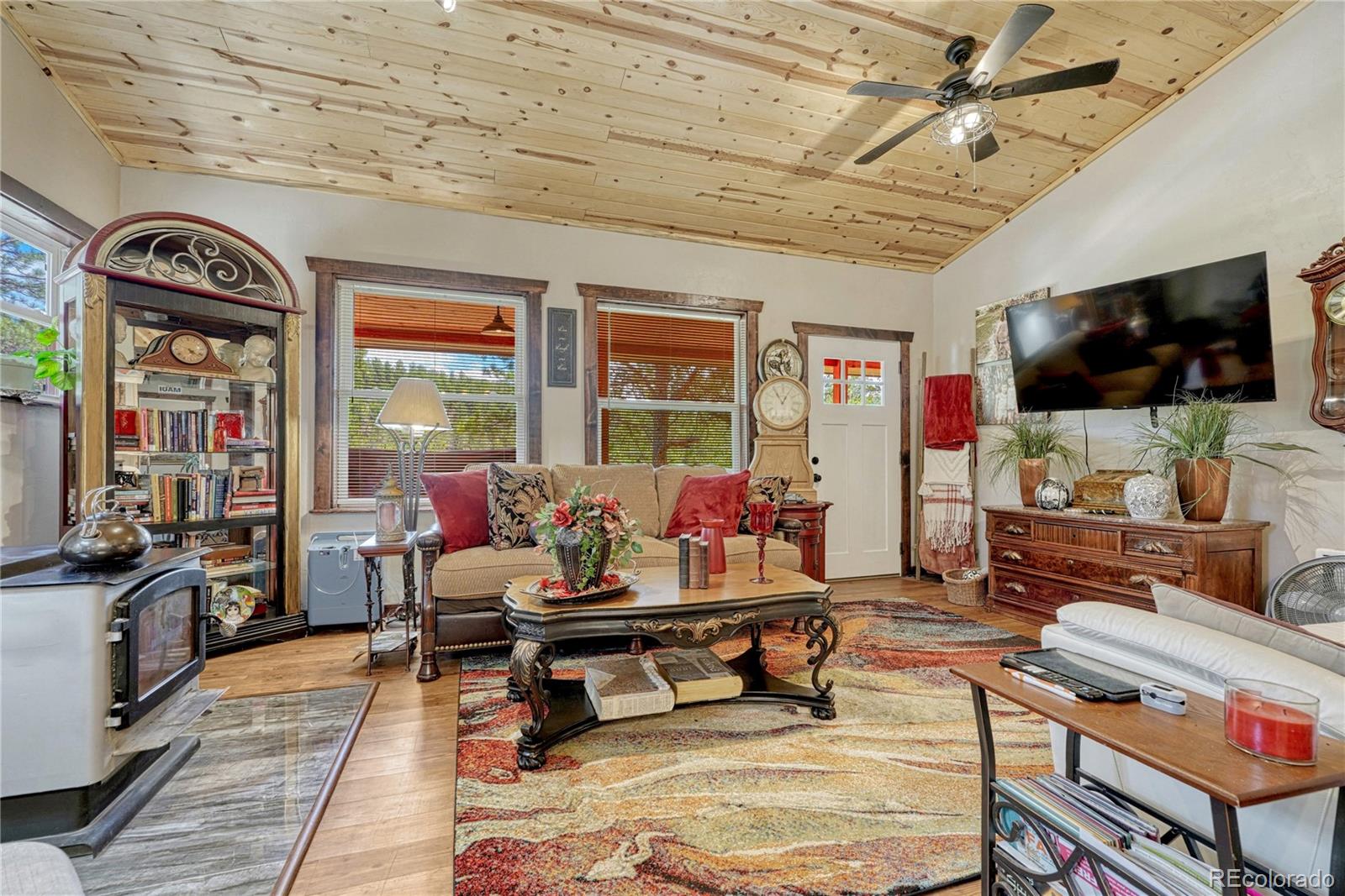 MLS Image #10 for 133  brown street,bailey, Colorado