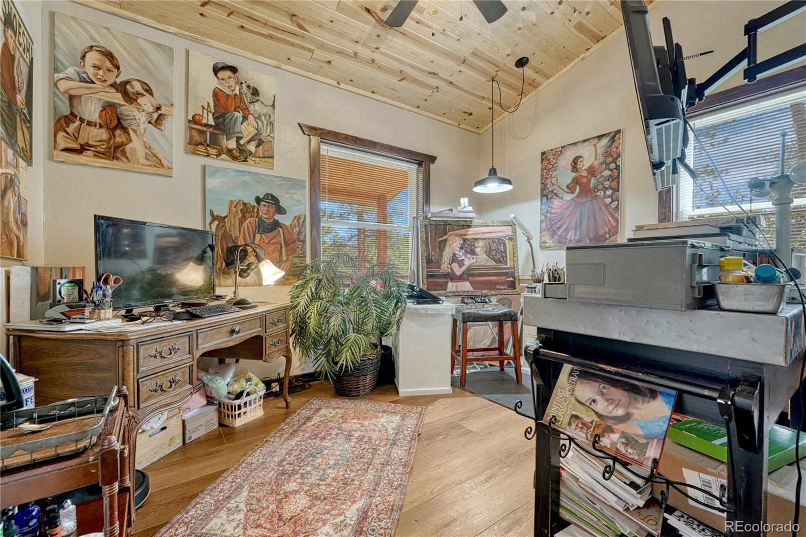 MLS Image #15 for 133  brown street,bailey, Colorado