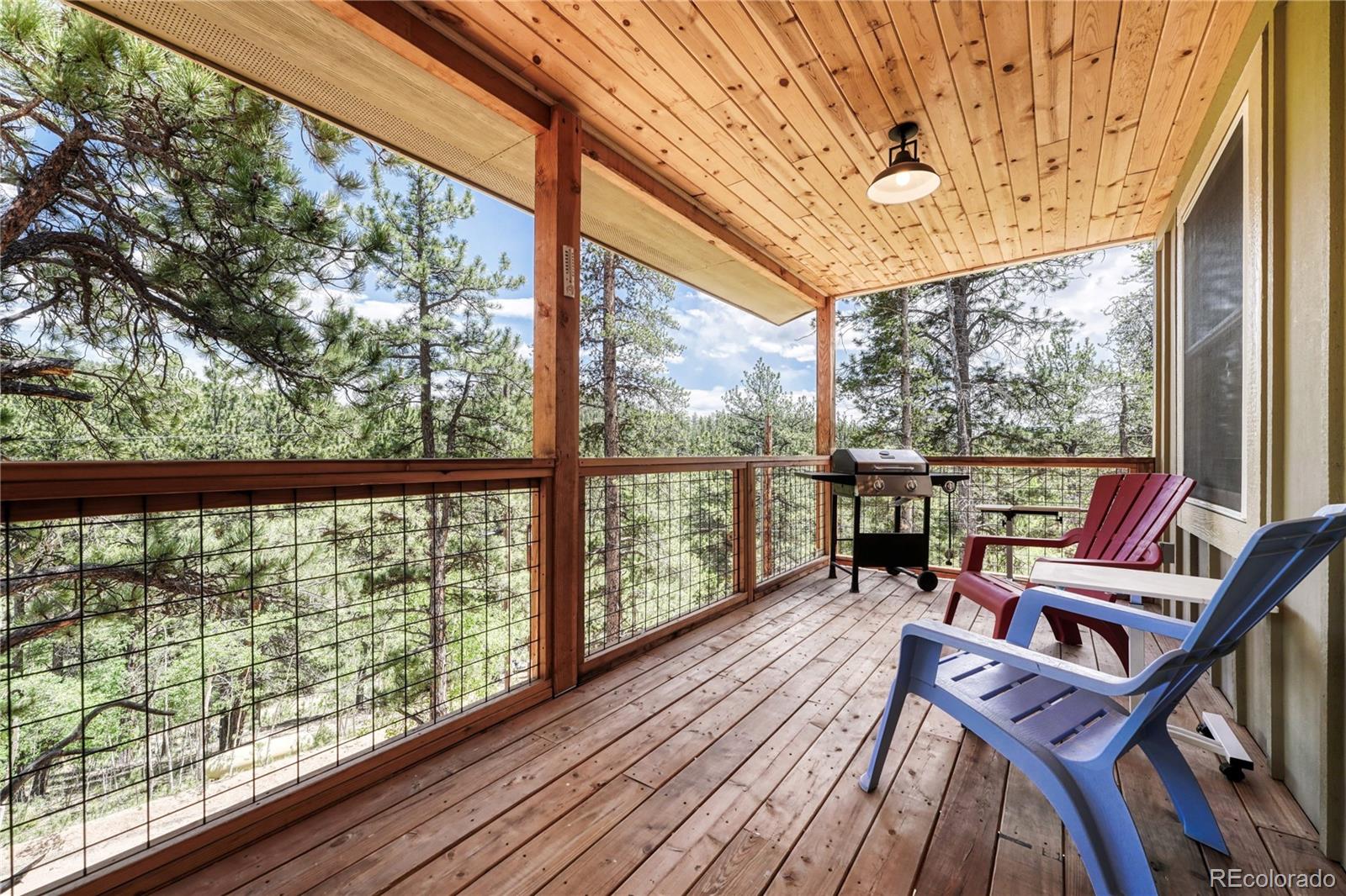 MLS Image #26 for 133  brown street,bailey, Colorado