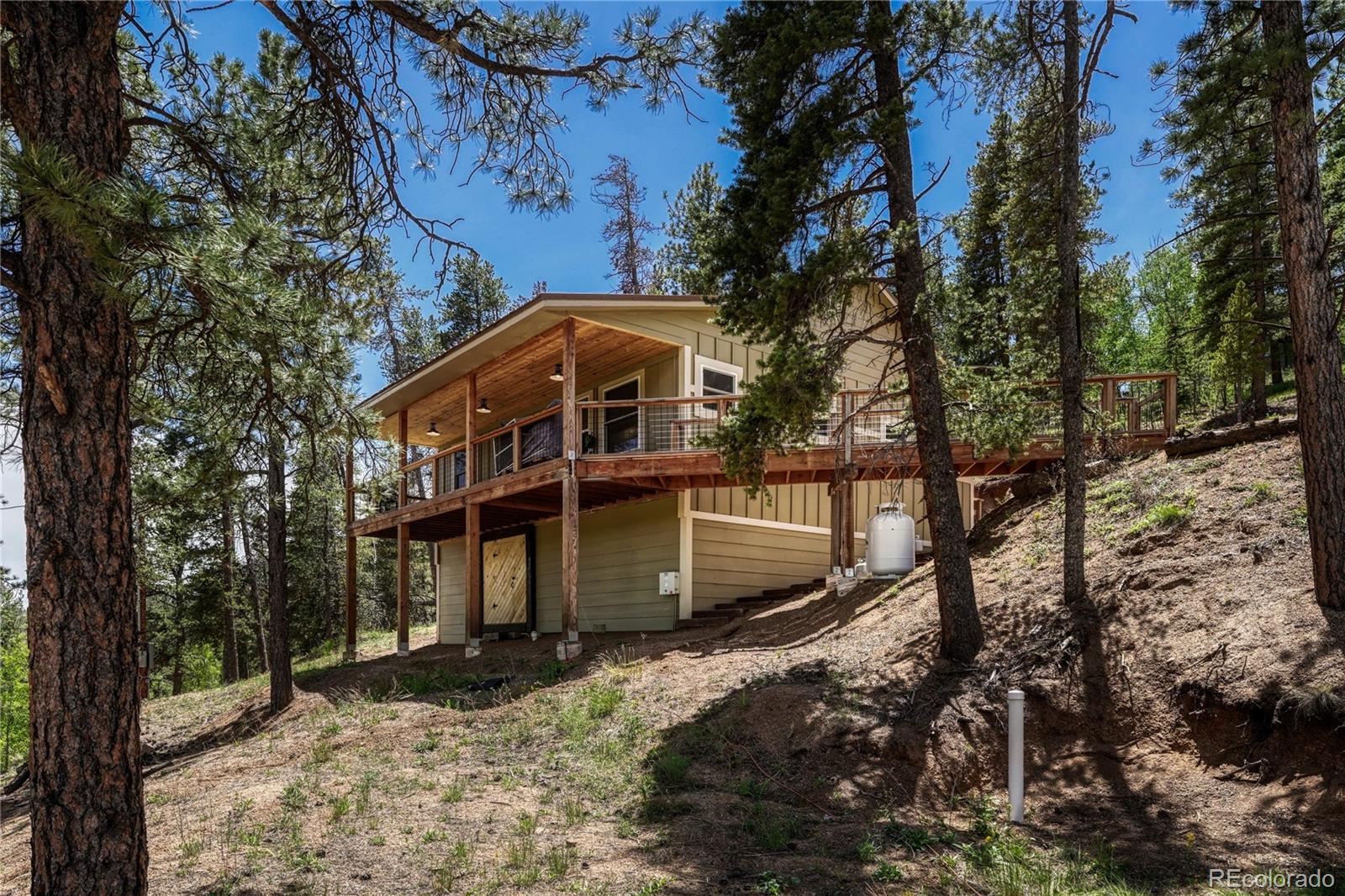 MLS Image #30 for 133  brown street,bailey, Colorado