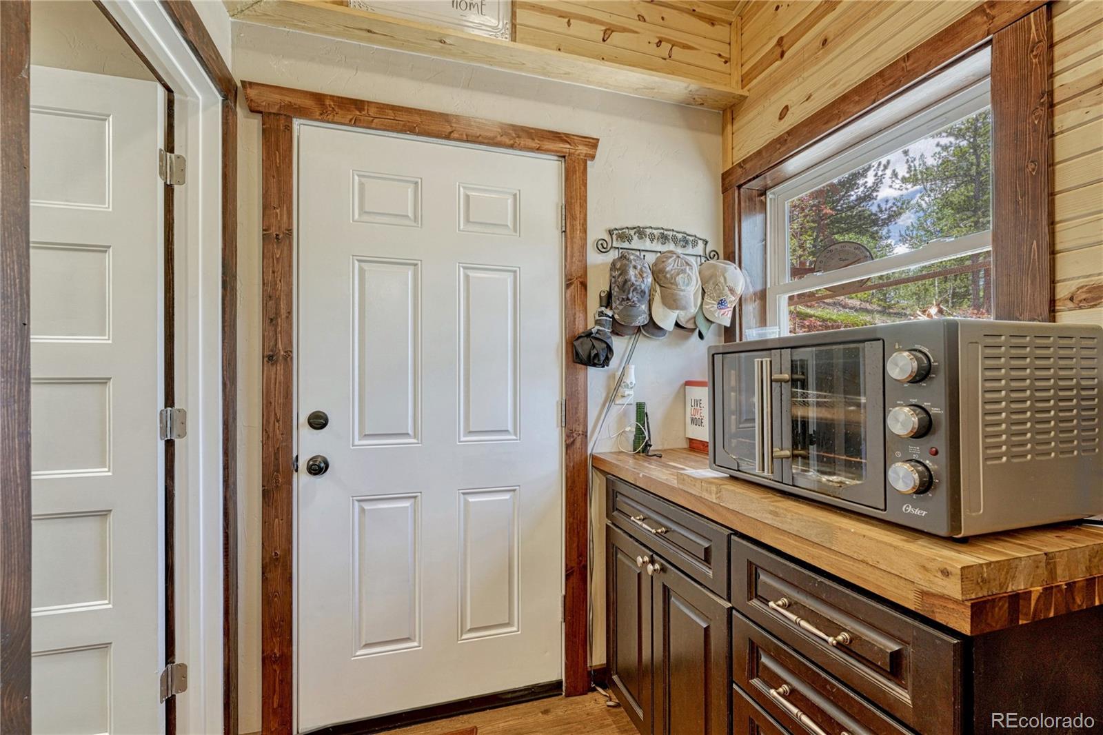 MLS Image #5 for 133  brown street,bailey, Colorado