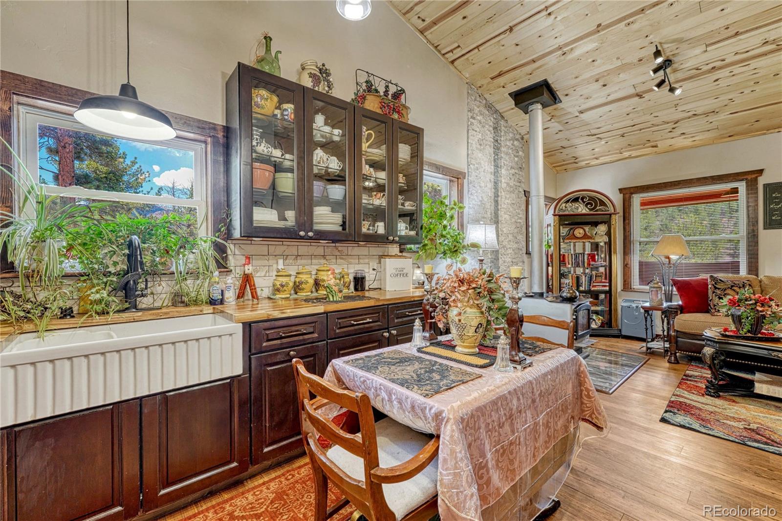 MLS Image #6 for 133  brown street,bailey, Colorado