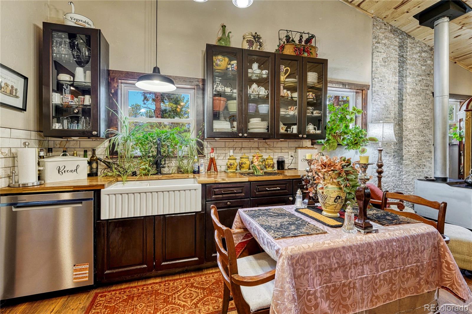 MLS Image #7 for 133  brown street,bailey, Colorado